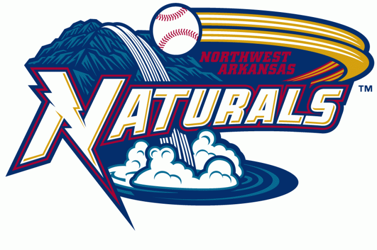 Northwest Arkansas Naturals 2008-Pres Primary Logo iron on transfers for T-shirts
